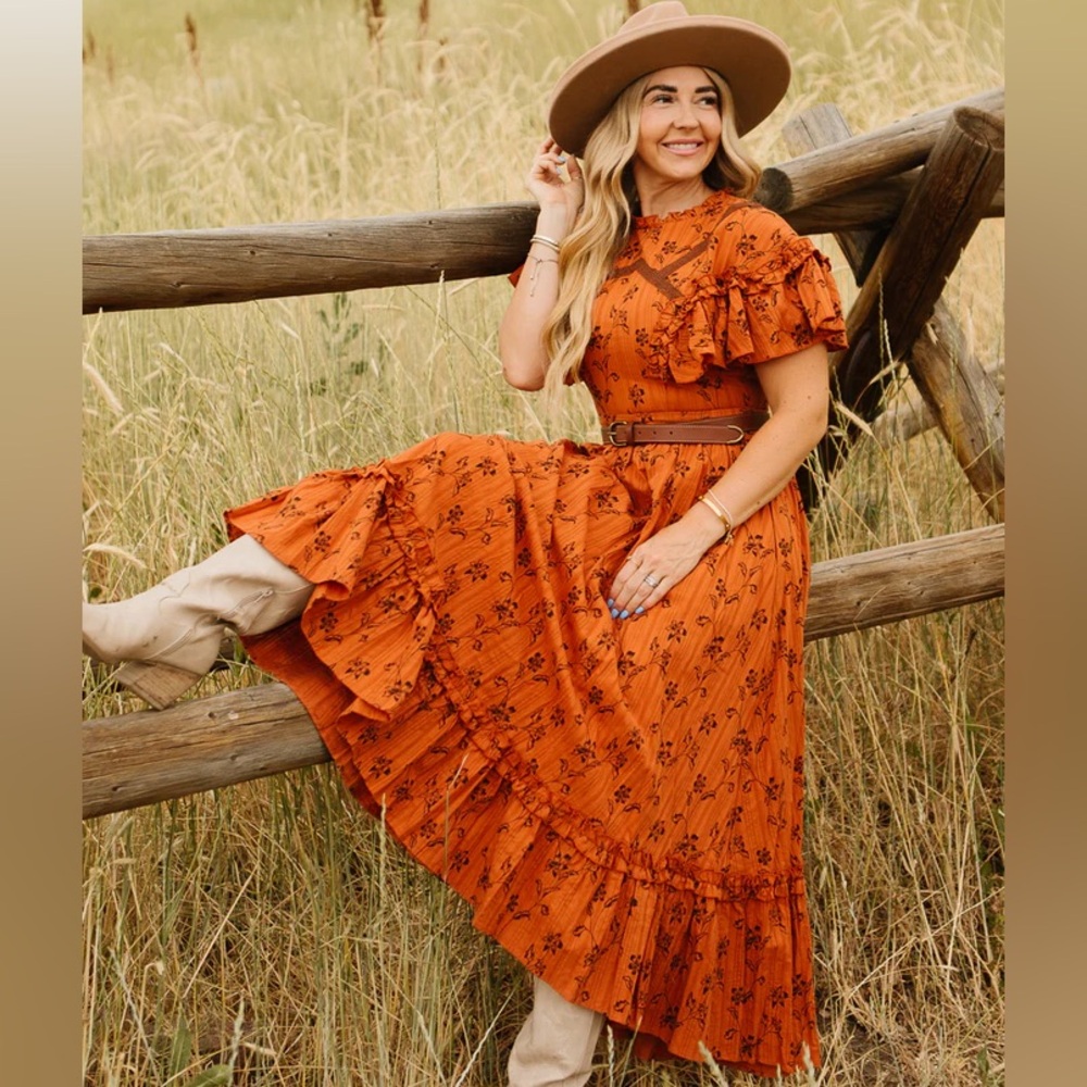 NWT Ivy City shae dress